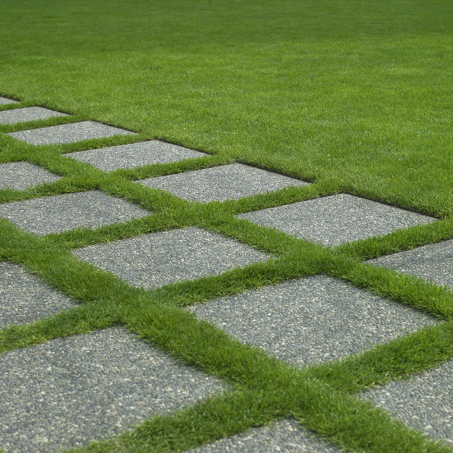Design Spotlight Artificial Grass And Pavers